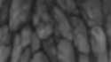 orochimaruvsmitsuki_thumb.jpg