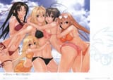 Sekirei_Engagement_38