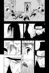 hiruzenoro2