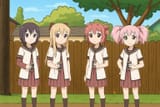 Yuru Yuri fence