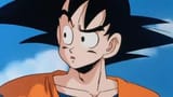Goku what