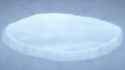 ceiling yukionna is watching you_thumb.jpg