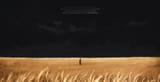 imu in a field