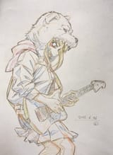Toga guitar