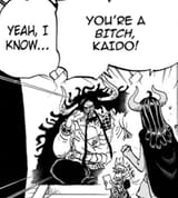 Kaido is a bitch