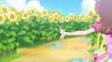 Uta singing in the sunflower fields_thumb.jpg