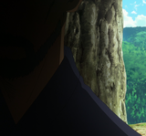 beardo