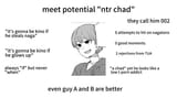 potential NTR Chad