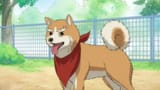 Oda-Cinnamon-Nobunaga