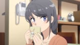 [SubsPlease] Seishun Buta Yarou wa Santa Claus no Yume wo Minai - 05 (1080p) [16D008F5].mkv_snapshot_12.41