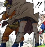 ankobutt