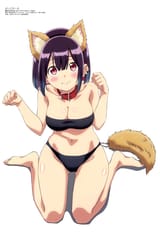 yande.re 1239371 animal_ears badgirl bikini inumimi morimoto_yufuki swimsuits tail yuutani_yuu