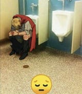 sanji sharting sadly in urinal stall