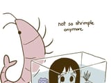 shrimple-as-rule-v0-cc8yjd1xbdvc1