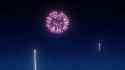 fireworks 1_thumb.jpg