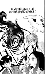 RIN-NE - c231 (v24) - p041 [dig] [The White Magic Casket] [VIZ Media] [danke-Empire]