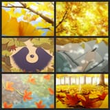 WithYouAndTheFall