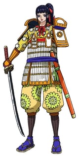 Kiku armour fixed