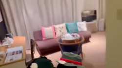 Thread 281163841 OP Image
