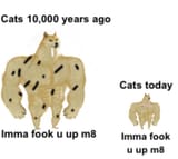 214