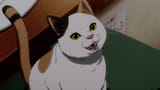 nyaaaaaa