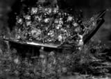 Chapter 303_ Daylight of Damnation020