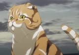 Apex Predator