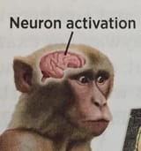 1693517953383921