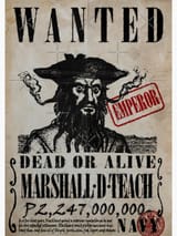 Blackbeard wanted poster