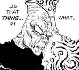what is that thing