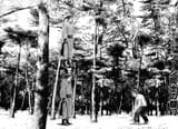 Bird&#039;s eye view technique