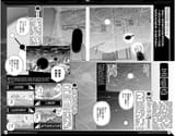 BBF_0213-4