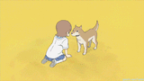 nichidog_comforts