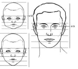 human facial proportions