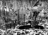 Chapter 311_ Stealth Hope015