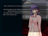 Fate Stay Night Heaven&#039;s Feel Route Day 14 Intermission Sacrilege Sisters VI