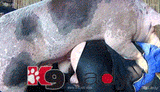 Thread 281206378 OP Image