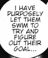 swim