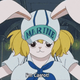 one-piece-carrot (1)