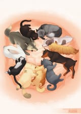 501st_familiars
