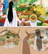 one piece 507