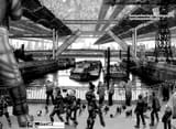 Chapter 314_ Agitation019