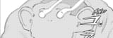 Thread 281227799 OP Image