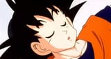 Goku sleep