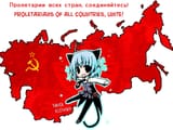 d0a1254e5a527a13141f88a64275d5ec