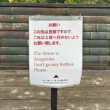 20250713_013525