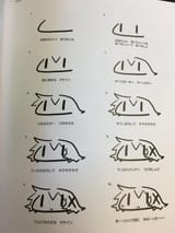1736333613281815