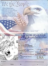 Denji&#039;s Passport