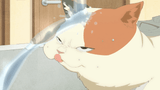 Thread 281242877 OP Image