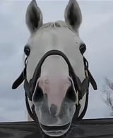 Screenshot_20250805_224357_YouTube